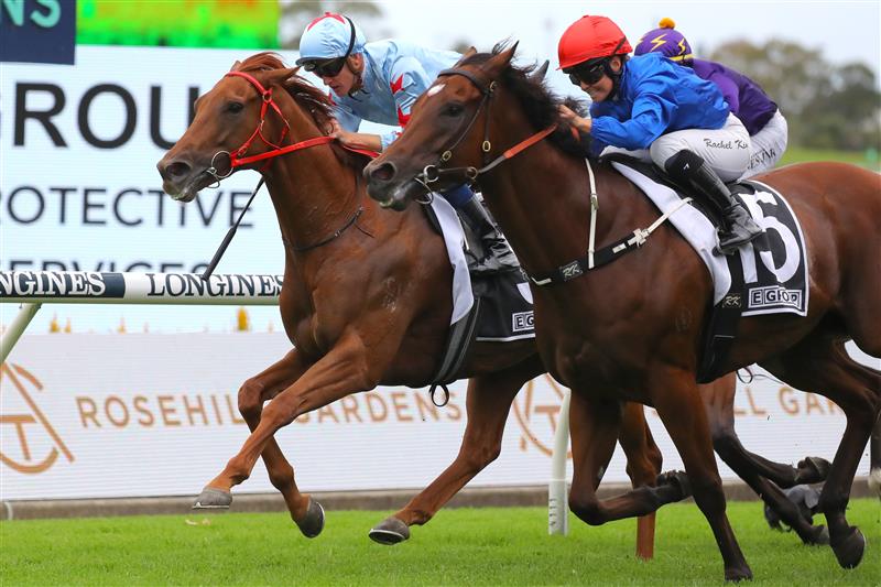 SYDNEY, AUSTRALIA - MARCH 25: Rachel King riding Bacchanalia wins Race 5 E-Group Security Star Kingdom during Sydney Racing at Rosehill Gardens on March 25, 2023 in Sydney, Australia. (Photo by Jeremy Ng/Getty Images)