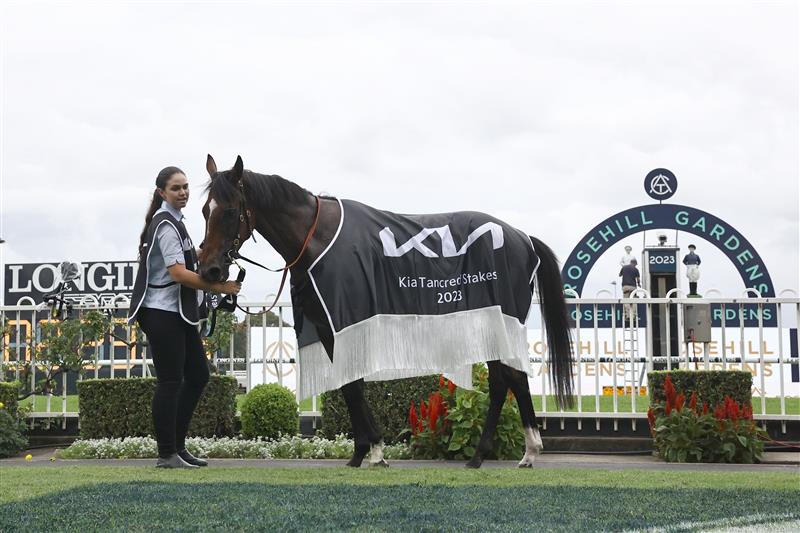 SYDNEY, AUSTRALIA - MARCH 25: Rachel King riding Arapaho wins Race 8 KIA Tancred Stakes during Sydney Racing at Rosehill Gardens on March 25, 2023 in Sydney, Australia. (Photo by Jeremy Ng/Getty Images)