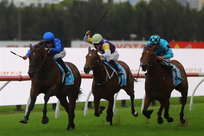SYDNEY, AUSTRALIA - MARCH 25: Zac Lloyd riding Tamerlane wins Race 10 Cleanaway during Sydney Racing at Rosehill Gardens on March 25, 2023 in Sydney, Australia. (Photo by Jeremy Ng/Getty Images)