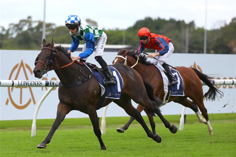 SYDNEY, AUSTRALIA - MARCH 25: Zac Lloyd riding Astero wins Race 1 Midway during Sydney Racing at Rosehill Gardens on March 25, 2023 in Sydney, Australia. (Photo by Jeremy Ng/Getty Images)