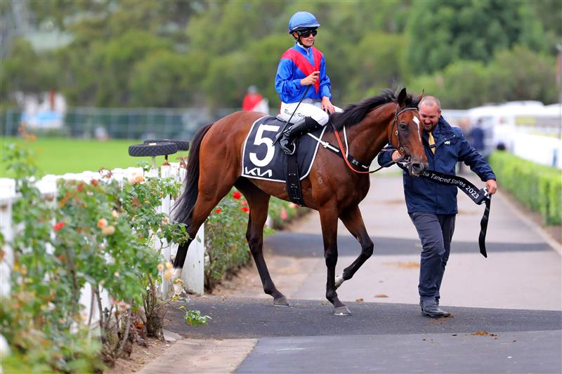 SYDNEY, AUSTRALIA - MARCH 25: Rachel King riding Arapaho wins Race 8 KIA Tancred Stakes during Sydney Racing at Rosehill Gardens on March 25, 2023 in Sydney, Australia. (Photo by Jeremy Ng/Getty Images)
