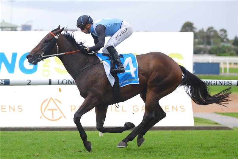 SYDNEY, AUSTRALIA - MARCH 25: Brenton Avdulla riding Bandersnatch  wins Race 9 Racing & Sports Doncaster Prelude during Sydney Racing at Rosehill Gardens on March 25, 2023 in Sydney, Australia. (Photo by Jeremy Ng/Getty Images)