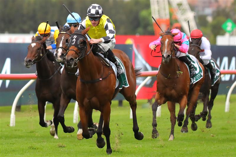 SYDNEY, AUSTRALIA - MARCH 25: Mark Zahra riding Prowess wins Race 7 Vinery Stud Stakes during Sydney Racing at Rosehill Gardens on March 25, 2023 in Sydney, Australia. (Photo by Jeremy Ng/Getty Images)