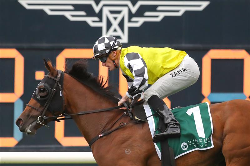 SYDNEY, AUSTRALIA - MARCH 25: Mark Zahra riding Prowess wins Race 7 Vinery Stud Stakes during Sydney Racing at Rosehill Gardens on March 25, 2023 in Sydney, Australia. (Photo by Jeremy Ng/Getty Images)