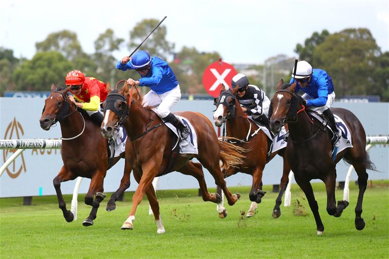 SYDNEY, AUSTRALIA - MARCH 25: Nash Rawiller riding Amur wins Race 2 ACY Securities TL Baillieu during Sydney Racing at Rosehill Gardens on March 25, 2023 in Sydney, Australia. (Photo by Jeremy Ng/Getty Images)