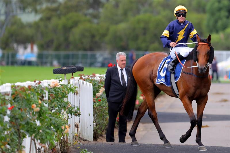 SYDNEY, AUSTRALIA - MARCH 25: Tim Clark riding Zeyrek wins Race 4 Furphy Neville Sellwood Stakes during Sydney Racing at Rosehill Gardens on March 25, 2023 in Sydney, Australia. (Photo by Jeremy Ng/Getty Images)