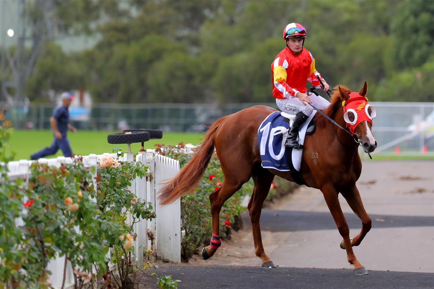 SYDNEY, AUSTRALIA - MARCH 25: Reece Jones riding Tapildoodledo wins Race 3 Elite Sand & Soil Tulloch Stakes during Sydney Racing at Rosehill Gardens on March 25, 2023 in Sydney, Australia. (Photo by Jeremy Ng/Getty Images)