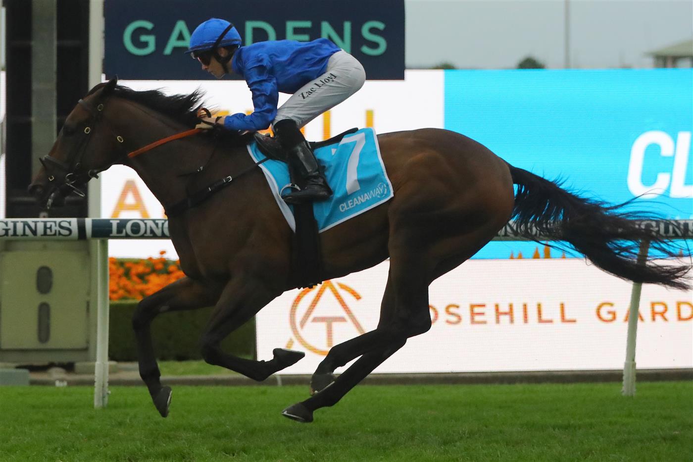 SYDNEY, AUSTRALIA - MARCH 25: Zac Lloyd riding Tamerlane 
 wins Race 10 Cleanaway during Sydney Racing at Rosehill Gardens on March 25, 2023 in Sydney, Australia. (Photo by Jeremy Ng/Getty Images)