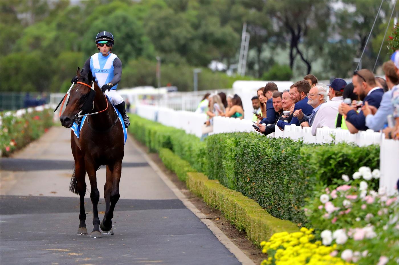 SYDNEY, AUSTRALIA - MARCH 25: Brenton Avdulla riding Bandersnatch  wins Race 9 Racing & Sports Doncaster Prelude during Sydney Racing at Rosehill Gardens on March 25, 2023 in Sydney, Australia. (Photo by Jeremy Ng/Getty Images)
