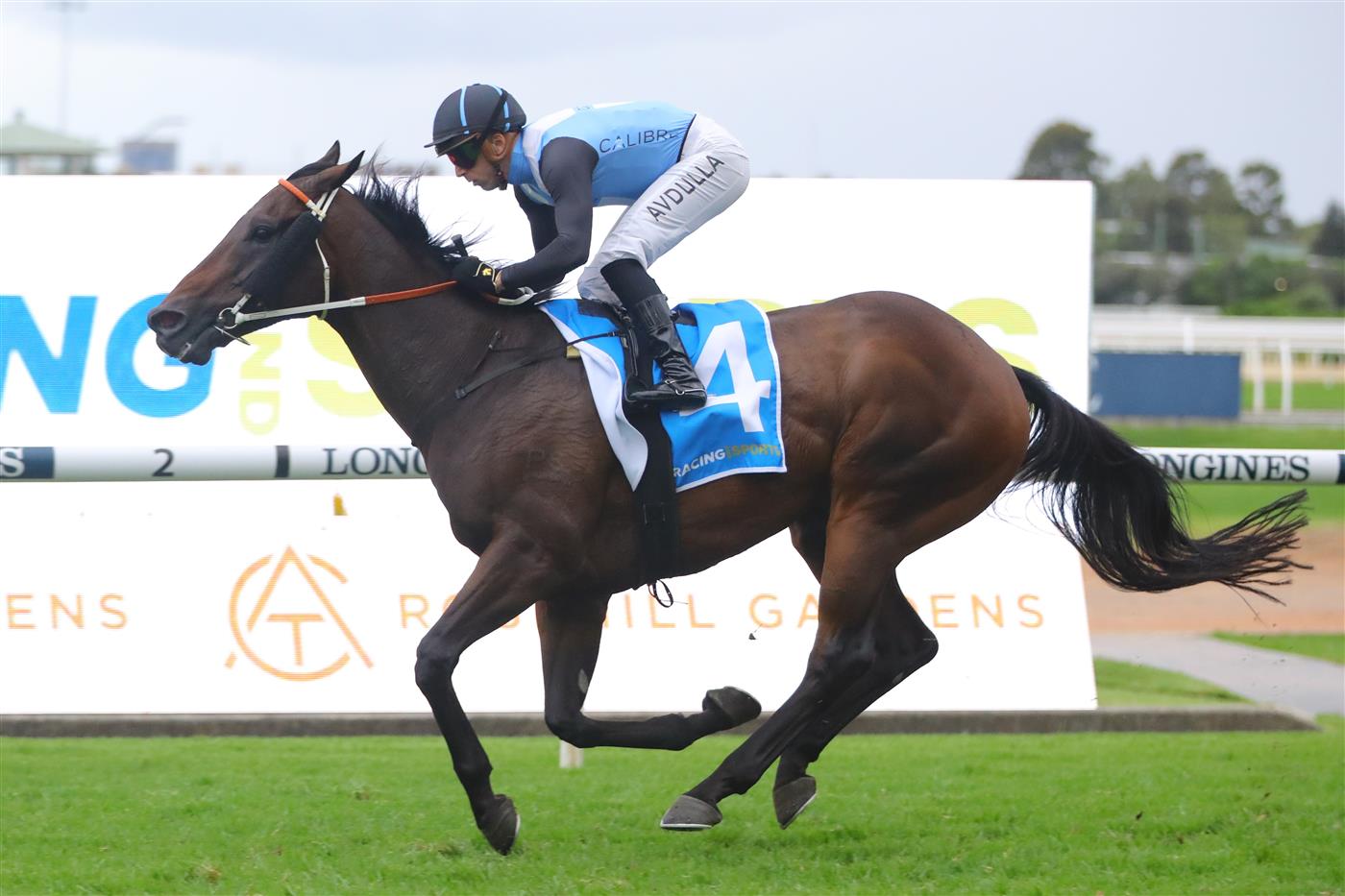 SYDNEY, AUSTRALIA - MARCH 25: Brenton Avdulla riding Bandersnatch  wins Race 9 Racing & Sports Doncaster Prelude during Sydney Racing at Rosehill Gardens on March 25, 2023 in Sydney, Australia. (Photo by Jeremy Ng/Getty Images)