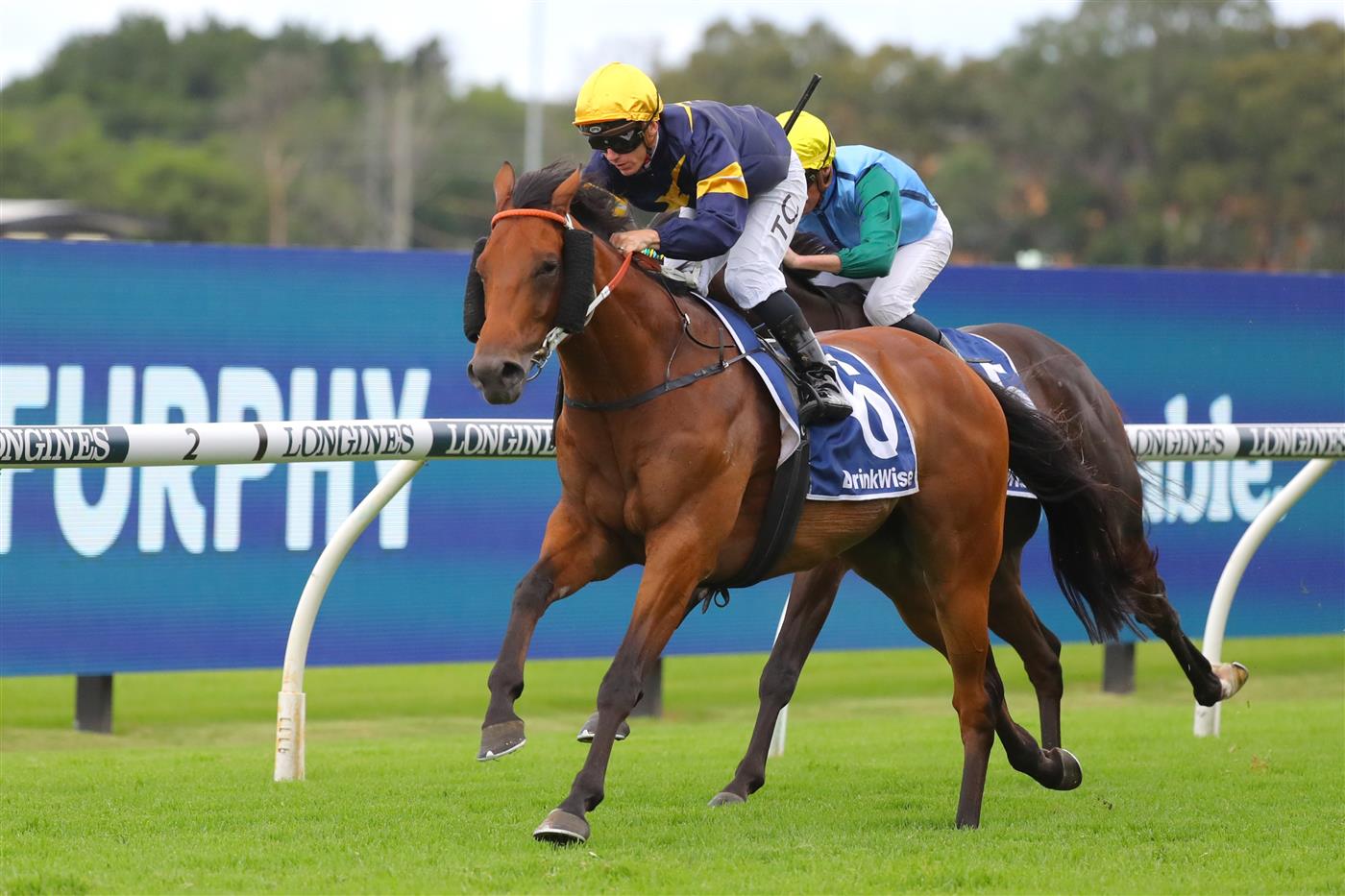 SYDNEY, AUSTRALIA - MARCH 25: Tim Clark riding Zeyrek wins Race 4 Furphy Neville Sellwood Stakes during Sydney Racing at Rosehill Gardens on March 25, 2023 in Sydney, Australia. (Photo by Jeremy Ng/Getty Images)