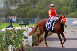 SYDNEY, AUSTRALIA - MARCH 25: Reece Jones riding Tapildoodledo wins Race 3 Elite Sand & Soil Tulloch Stakes during Sydney Racing at Rosehill Gardens on March 25, 2023 in Sydney, Australia. (Photo by Jeremy Ng/Getty Images)
