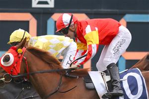 SYDNEY, AUSTRALIA - MARCH 25: Reece Jones riding Tapildoodledo wins Race 3 Elite Sand & Soil Tulloch Stakes during Sydney Racing at Rosehill Gardens on March 25, 2023 in Sydney, Australia. (Photo by Jeremy Ng/Getty Images)