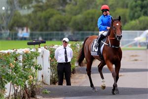 SYDNEY, AUSTRALIA - MARCH 25: Rachel King riding Bacchanalia wins Race 5 E-Group Security Star Kingdom during Sydney Racing at Rosehill Gardens on March 25, 2023 in Sydney, Australia. (Photo by Jeremy Ng/Getty Images)