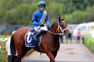 SYDNEY, AUSTRALIA - MARCH 25: Brenton Avdulla riding Roots wins Race 6 Canadian Club Emancipation during Sydney Racing at  Rosehill Gardens on March 25, 2023 in Sydney, Australia. (Photo by Jeremy Ng/Getty Images)