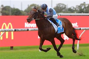 SYDNEY, AUSTRALIA - MARCH 25: Brenton Avdulla riding Bandersnatch  wins Race 9 Racing & Sports Doncaster Prelude during Sydney Racing at Rosehill Gardens on March 25, 2023 in Sydney, Australia. (Photo by Jeremy Ng/Getty Images)