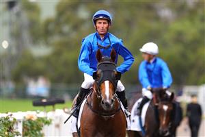 SYDNEY, AUSTRALIA - MARCH 25: Nash Rawiller riding Amur wins Race 2 ACY Securities TL Baillieu during Sydney Racing at Rosehill Gardens on March 25, 2023 in Sydney, Australia. (Photo by Jeremy Ng/Getty Images)
