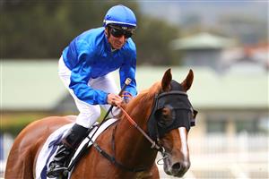 SYDNEY, AUSTRALIA - MARCH 25: Nash Rawiller riding Amur wins Race 2 ACY Securities TL Baillieu during Sydney Racing at Rosehill Gardens on March 25, 2023 in Sydney, Australia. (Photo by Jeremy Ng/Getty Images)