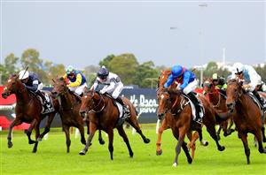Rosehill Highlights - 2023 Tancred Stakes Day