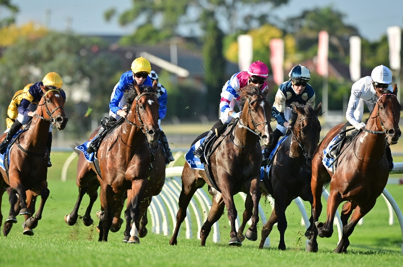 Sandown Racing Tips, Best Bets & Odds Today's Betting Tips for March