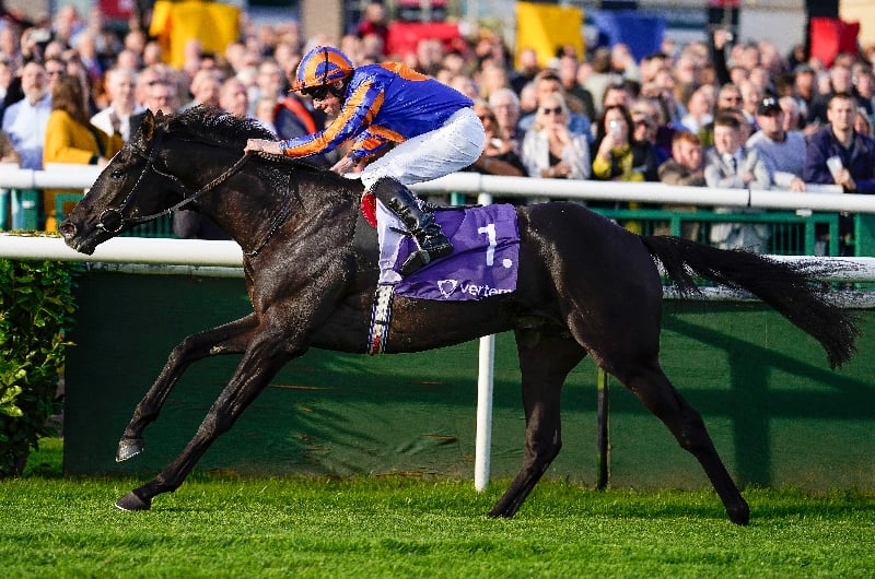 Auguste Rodin Epsom Derby 2023 Odds