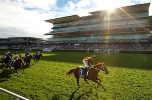 TJ Smith Stakes 2023 Barrier Draw & Final Field