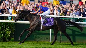 2023 2000 Guineas Tips -Two to keep on-side at Newmarket