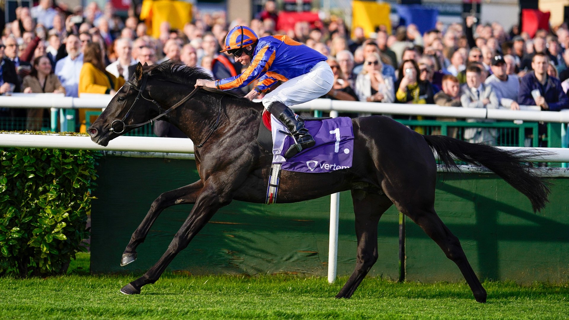 2023 Classic Tips – Ante-post look at the 2000 Guineas, Epsom Derby and St Leger