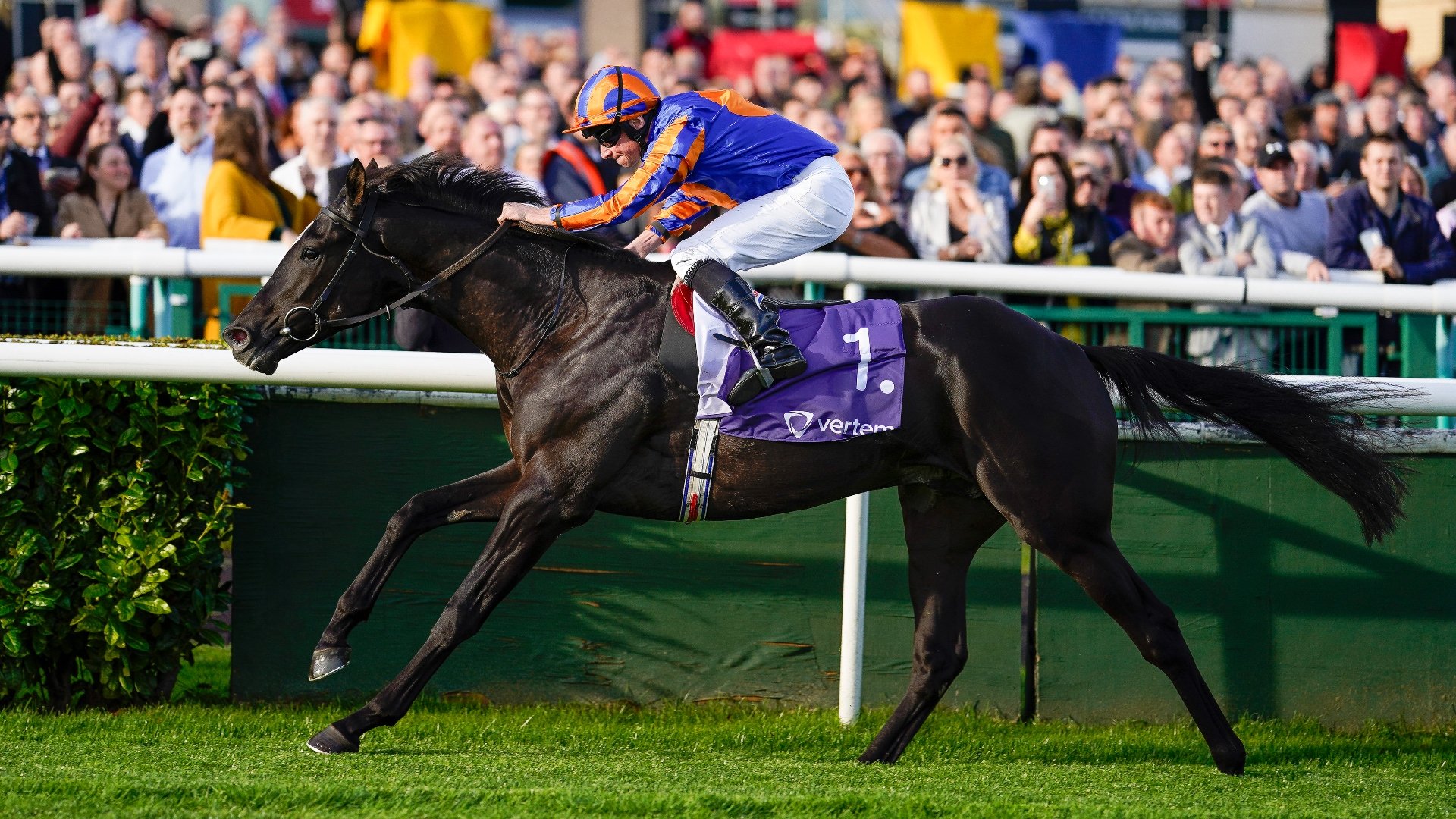 Classic Tips 2000 Guineas Epsom Derby St Leger