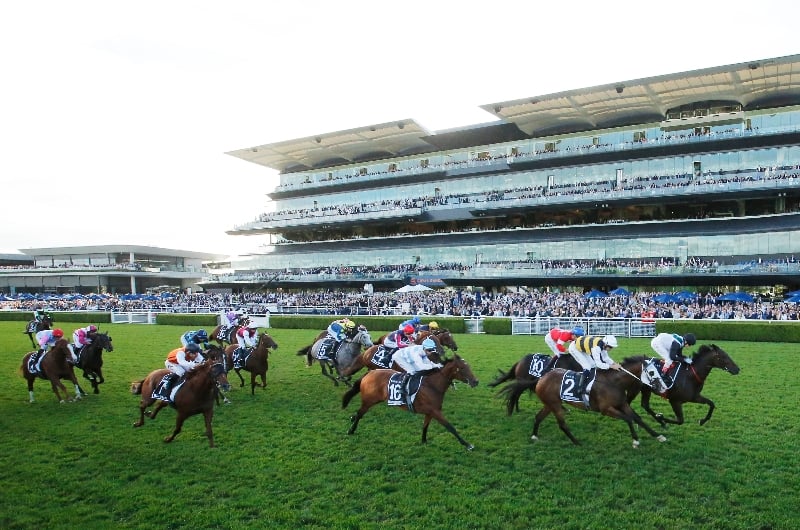 Doncaster Mile Tips - Mr Brightside the value at The Championships