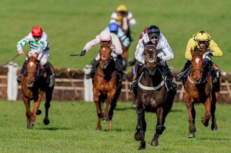 Champion Hurdle 2024 tips pre-season guide
