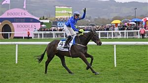 2024 Champion Chase Odds - El Fabiolo leads Energumene in Cheltenham betting