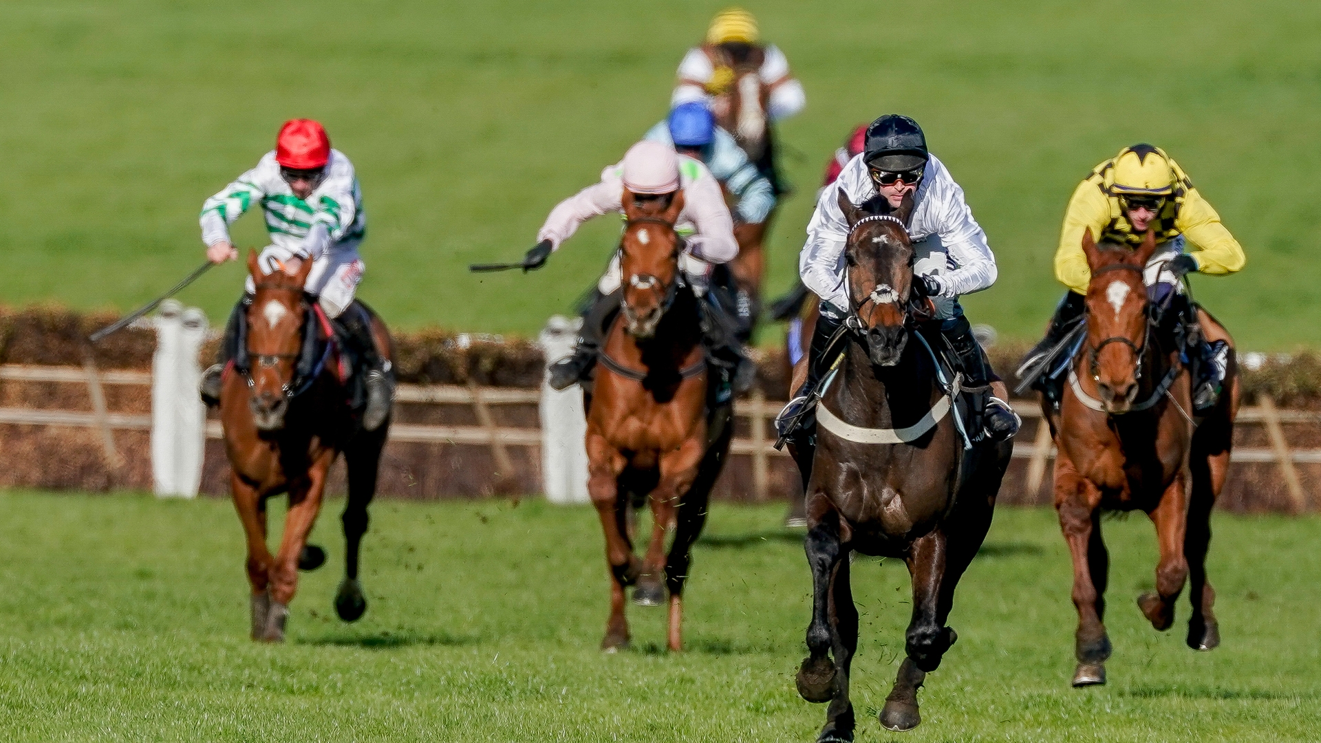 2024 Champion Hurdle Odds - Constitution Hill favourite to defend crown next year