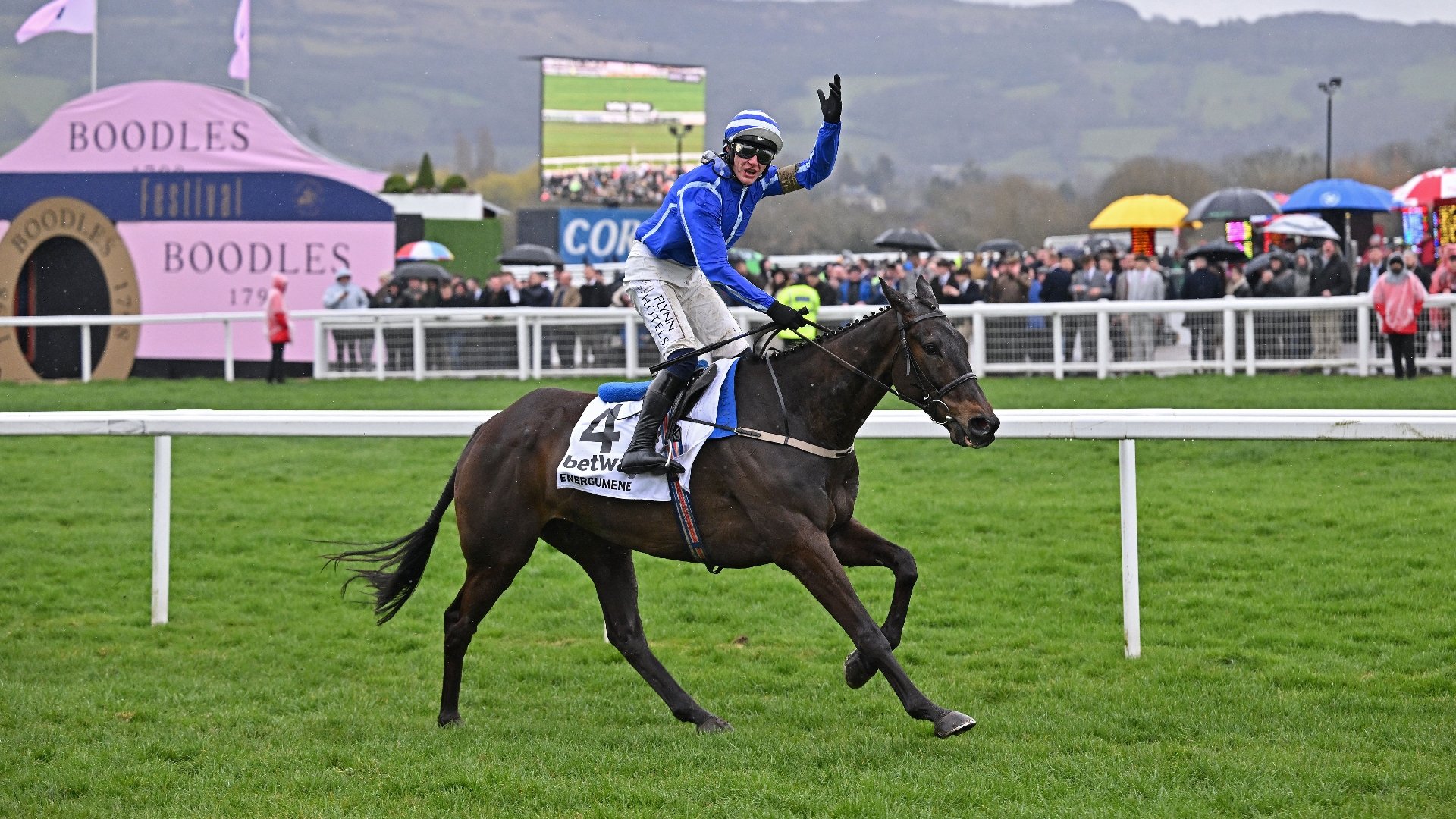 Champion Chase Odds and Entries
