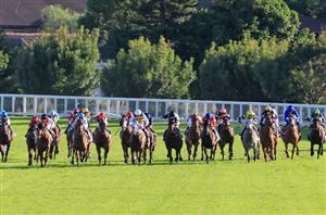 The Championships Day 1 Tips - Full preview for Randwick (April 1)