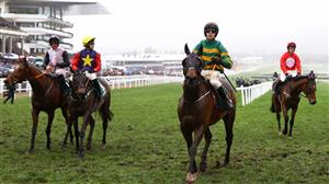 2024 Stayers' Hurdle Odds - Teahupoo leads Maries Rock in early betting