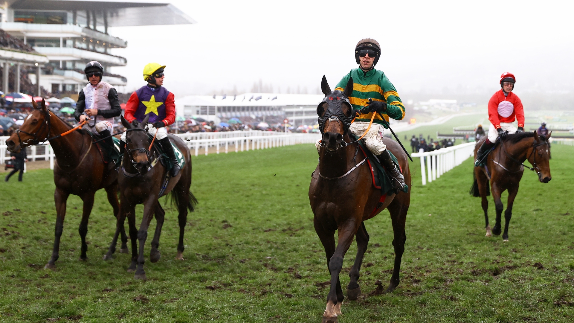 Stayers' Hurdle Odds and Entries