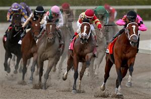 US Racing Tips on April 1 - Arkansas Derby and Florida Derby Tips