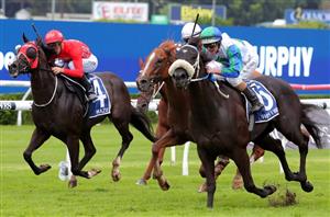 Big Bets Results from April 1
