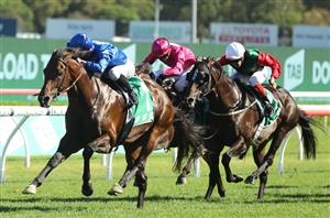 Queen Elizabeth Stakes 2023 Barrier Draw & Final Field