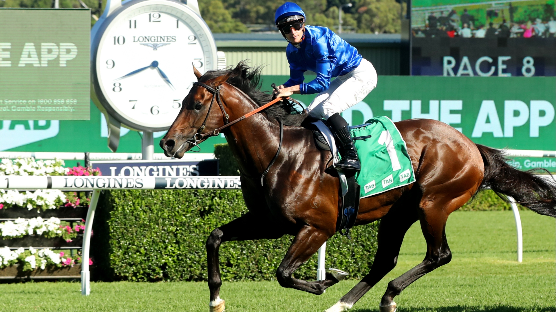 2023 Queen Elizabeth Stakes Tips, Betting Previews and Best Bets for