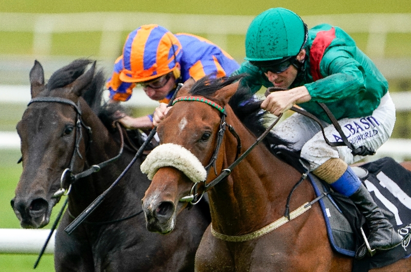 Irish 1000 Guineas Tips and Odds