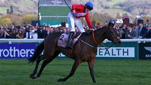 2023 Aintree Bowl Tips - Gold Cup hero to bounce back at Aintree