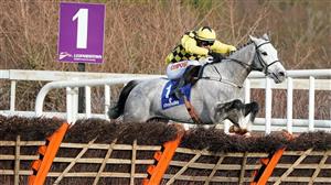 2023 Champion Stayers' Hurdle Tips - Willie's grey overpriced at Punchestown 