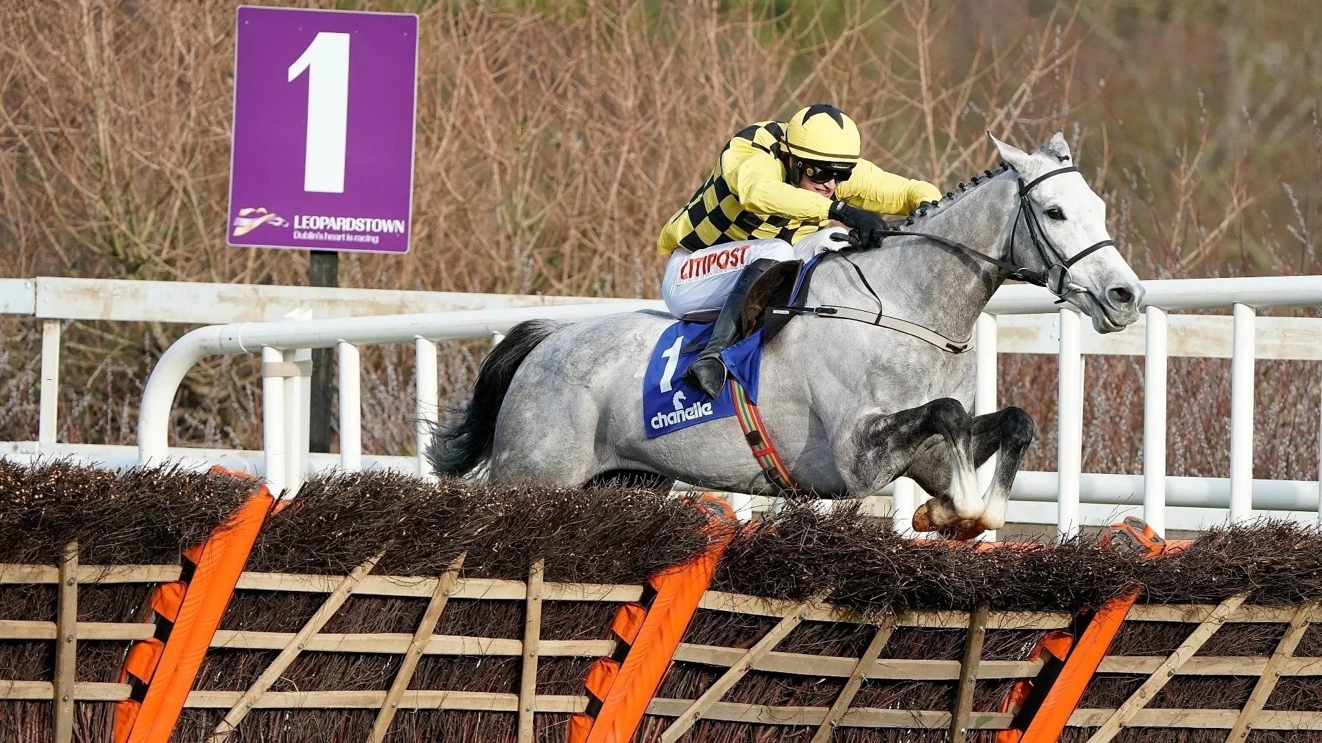 2023 Champion Stayers' Hurdle Tips Punchestown Tips on April 27