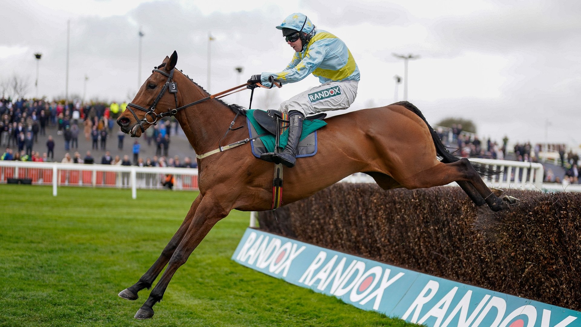 2023 Marsh Chase Tips - Woods and Hales to taste more Aintree success?