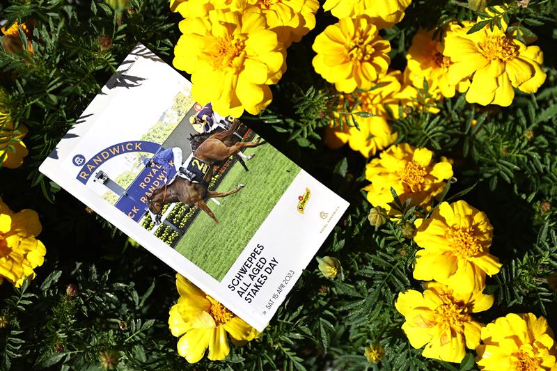 SYDNEY, AUSTRALIA - APRIL 15: An official racebook is seen prior to the "Schweppes All Aged Stakes Day" - Sydney Racing at Royal Randwick Racecourse on April 15, 2023 in Sydney, Australia. (Photo by Jeremy Ng/Getty Images)