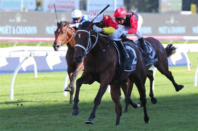 SYDNEY, AUSTRALIA - APRIL 15: Joao Moreira riding Militarize 
 wins Race 7 Moet & Chandon Champagne Stakes during "Schweppes All Aged Stakes Day" - Sydney Racing at Royal Randwick Racecourse on April 15, 2023 in Sydney, Australia. (Photo by Jeremy Ng/Getty Images)
