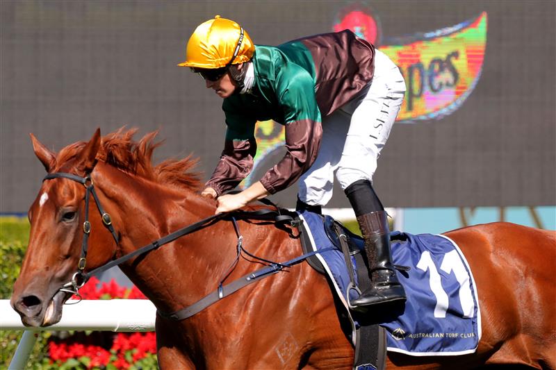 SYDNEY, AUSTRALIA - APRIL 15: Tom Sherry riding Mayrose wins Race 3 Midway during "Schweppes All Aged Stakes Day" - Sydney Racing at Royal Randwick Racecourse on April 15, 2023 in Sydney, Australia. (Photo by Jeremy Ng/Getty Images)