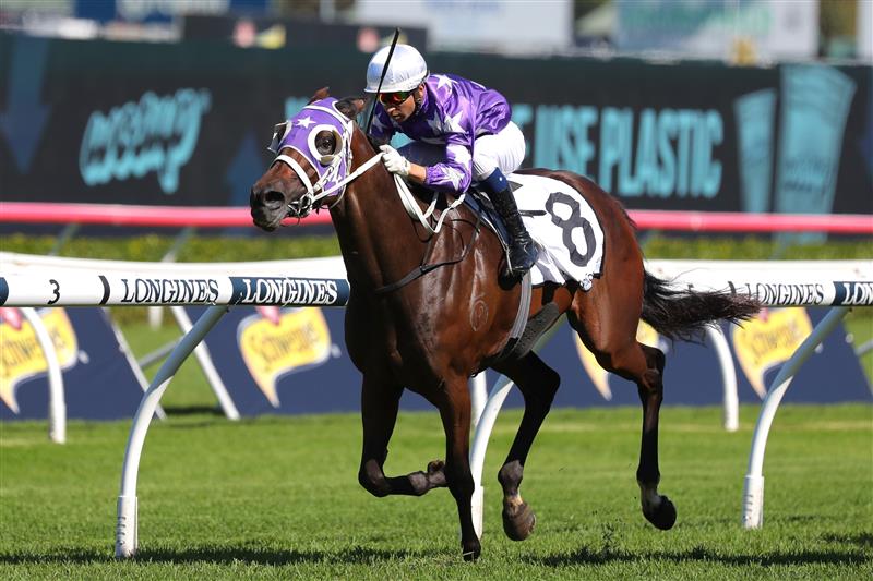 SYDNEY, AUSTRALIA - APRIL 15: Joao Moreira riding Olentia wins Race 4 Mostyncopper James H B Carr during "Schweppes All Aged Stakes Day" - Sydney Racing at Royal Randwick Racecourse on April 15, 2023 in Sydney, Australia. (Photo by Jeremy Ng/Getty Images)